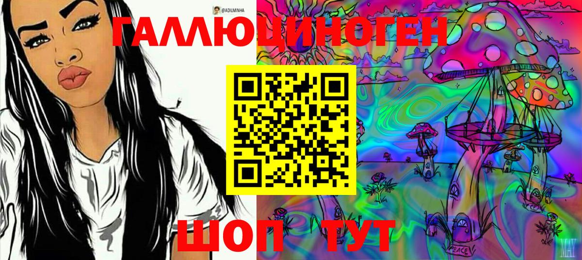 закладки  Вход с VPN  Орск  Псилоцибиновые грибы Psilocybine cubensis 